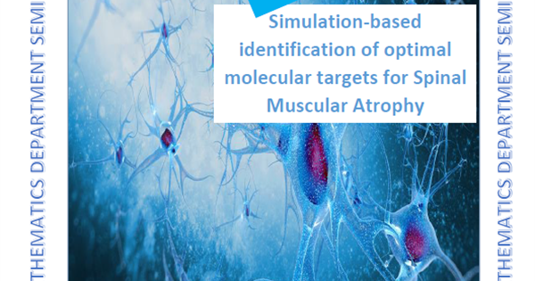 Seminar invitation: Simulation-based identification of optimal molecular targets for Spinal Muscular AtrophyAbstract