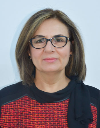 Prof. Dr. ELVAN YILMAZ